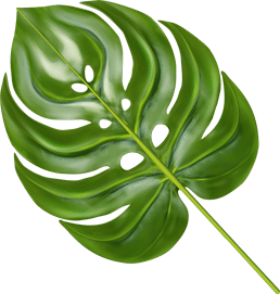 leaf 1 8